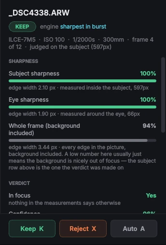 The details panel: sharpness meters, in-focus verdict, confidence and exposure figures