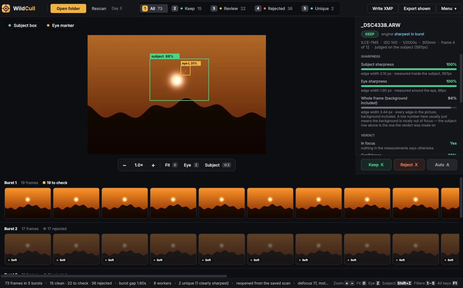WildCull showing a burst of wildlife frames sorted into Keep, Review and Reject, with the evidence for the selected frame